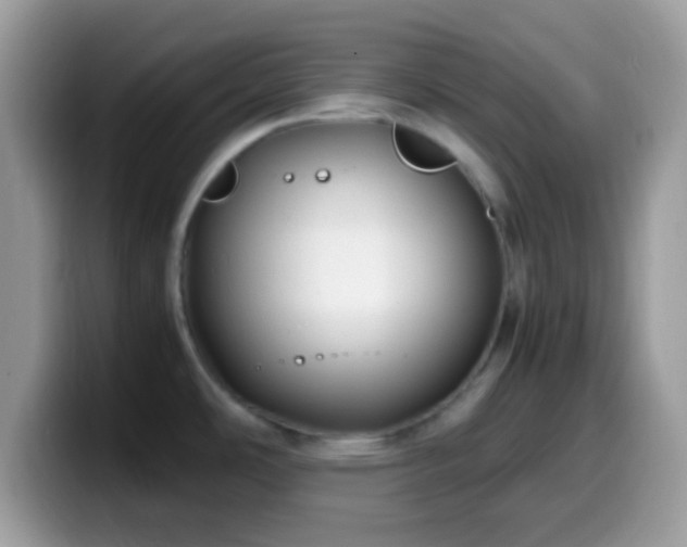 X0000099991486200805301403