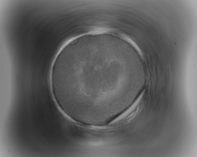 X0000099991487200805301403