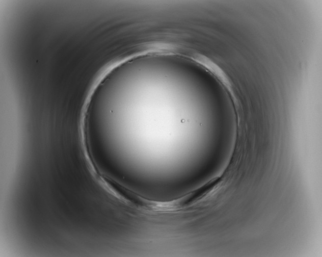 X0000099991488200805301403