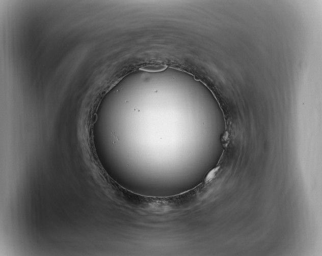 X0000099991489200805301402