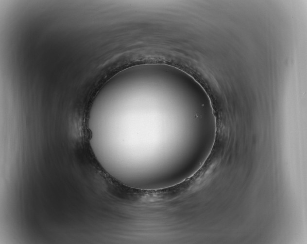 X0000099991490200805301403