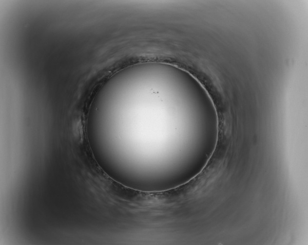 X0000099991493200805301403
