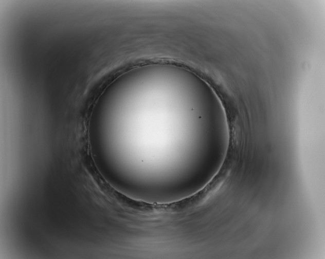 X0000099991494200805301403