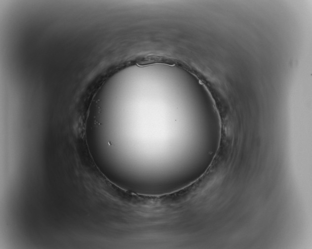 X0000099991495200805301403