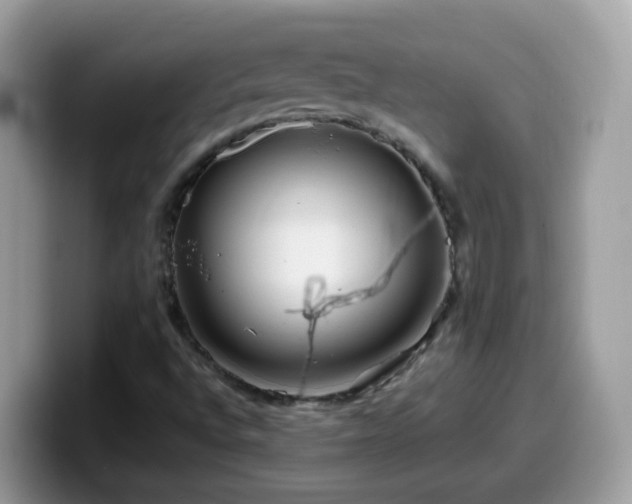 X0000099991496200805301403