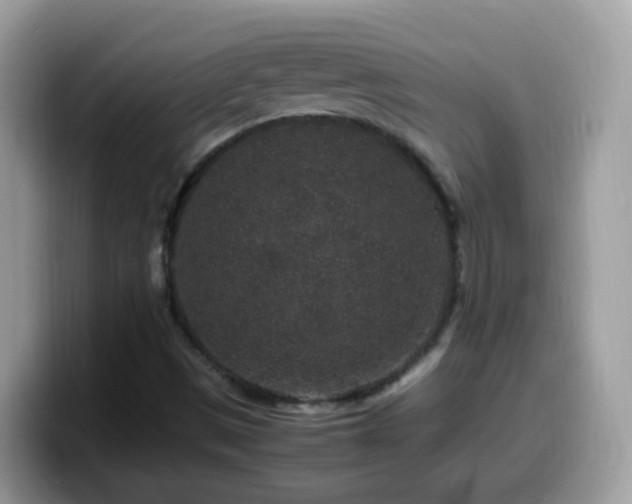 X0000099991497200805301403