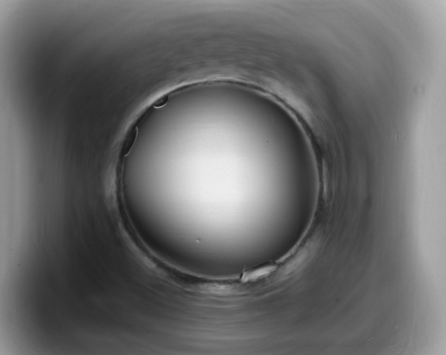 X0000099991500200805301403