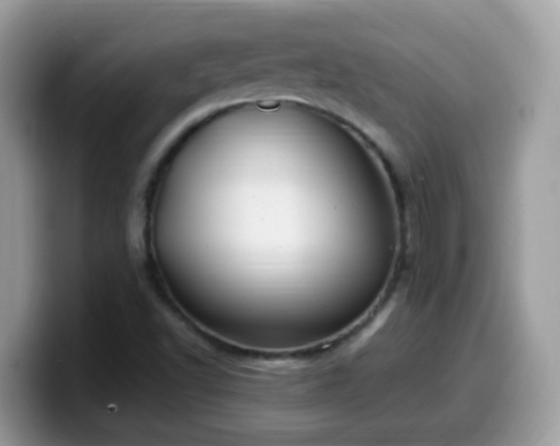 X0000099991502200805301403