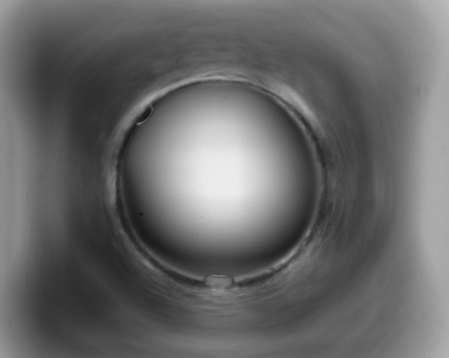 X0000099991504200805301403