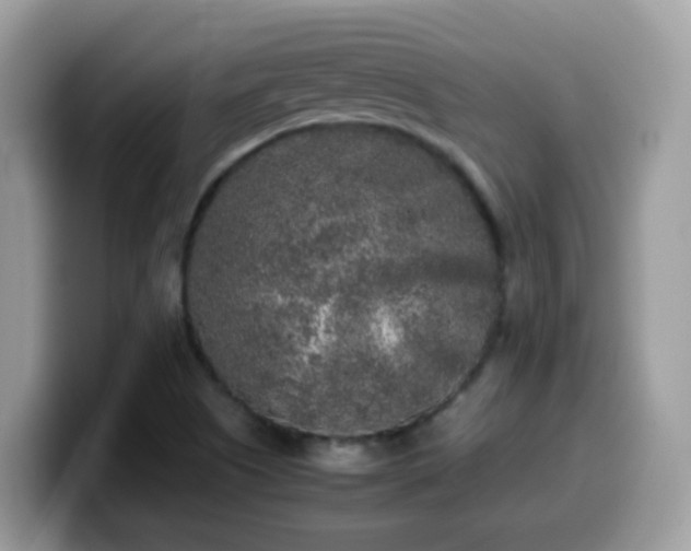 X0000099991505200805301403