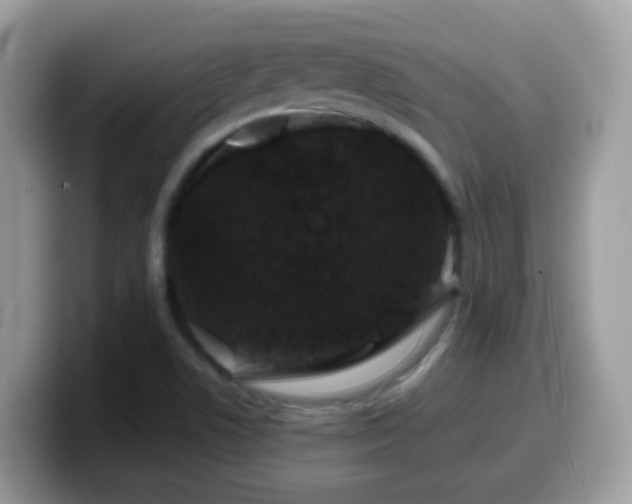 X0000099991506200805301403