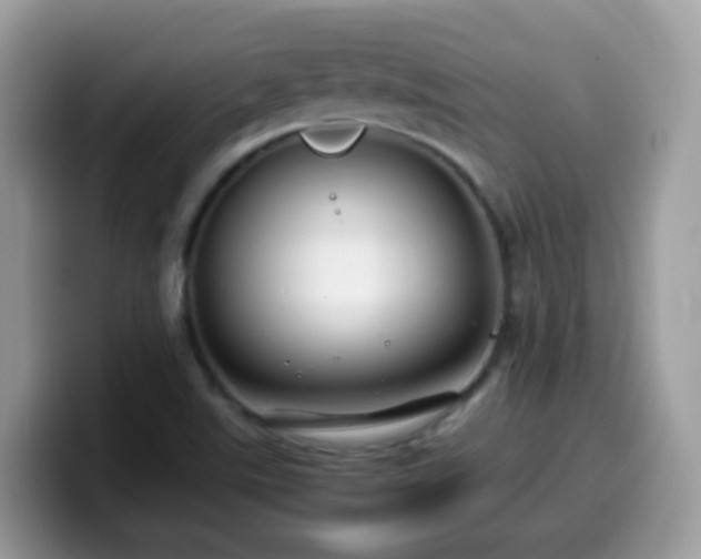 X0000099991507200805301403