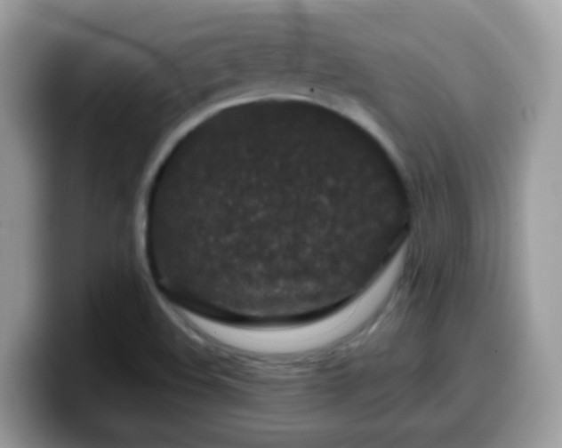 X0000099991508200805301403