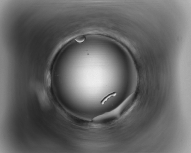 X0000099991509200805301403