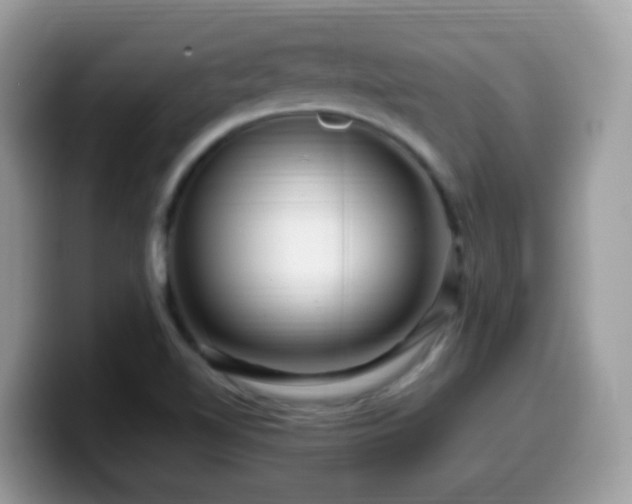 X0000099991510200805301403