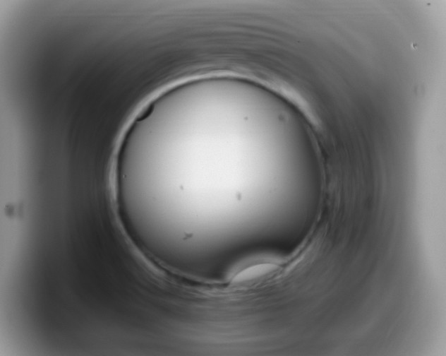 X0000099991516200805301403