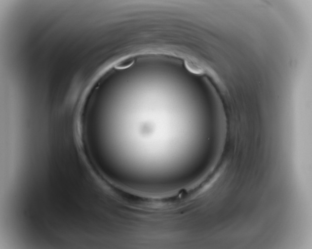 X0000099991517200805301403