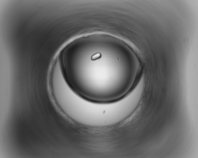 X0000099991518200805301403