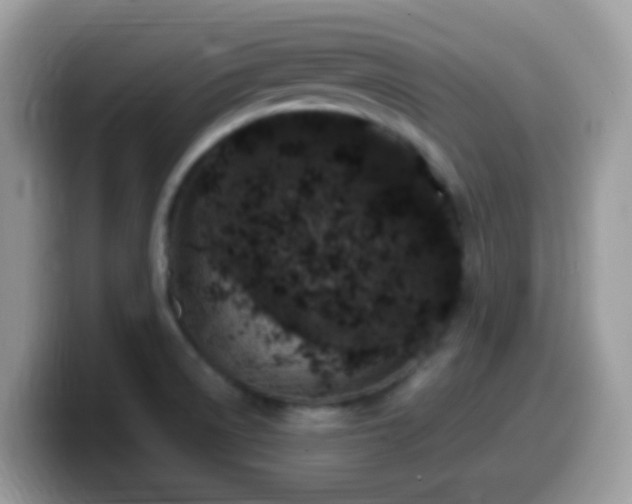 X0000099991522200805301403