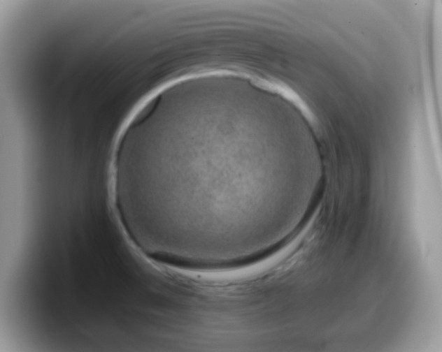 X0000099991524200805301403