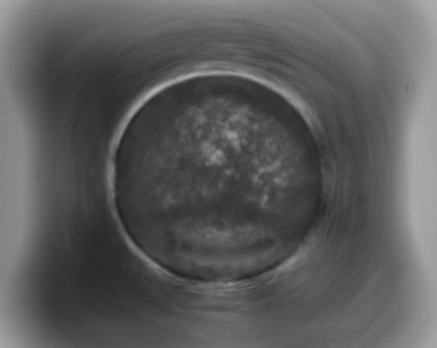 X0000099991527200805301403