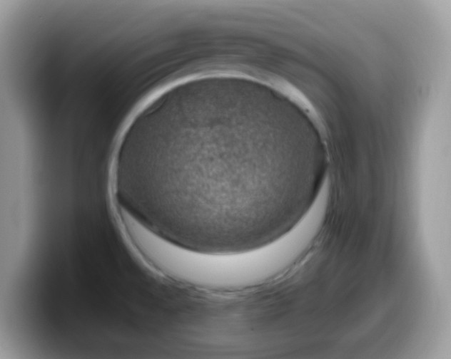 X0000099991528200805301403