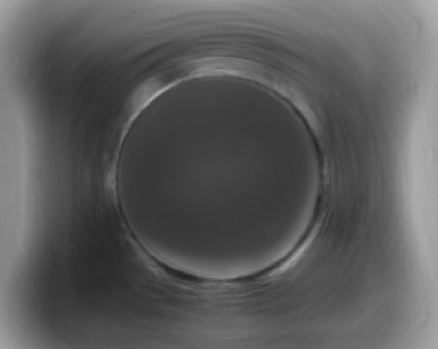 X0000099991529200805301403