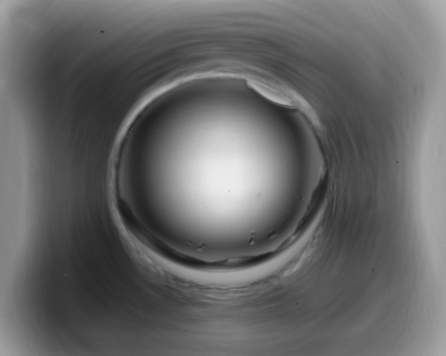 X0000099991530200805301403