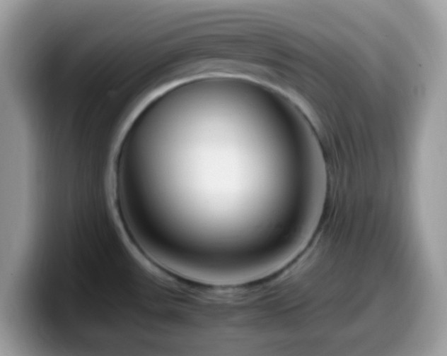 X0000099991531200805301403