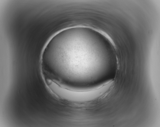 X0000099991532200805301403
