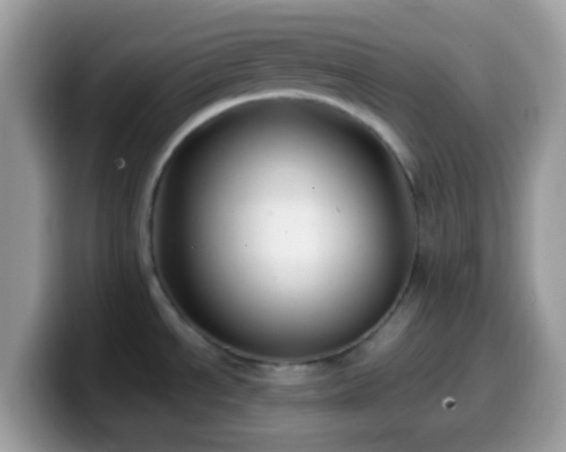 X0000099991534200805301403