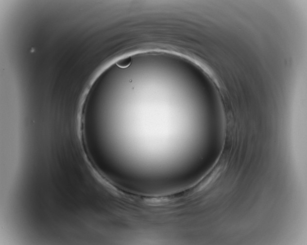 X0000099991535200805301403