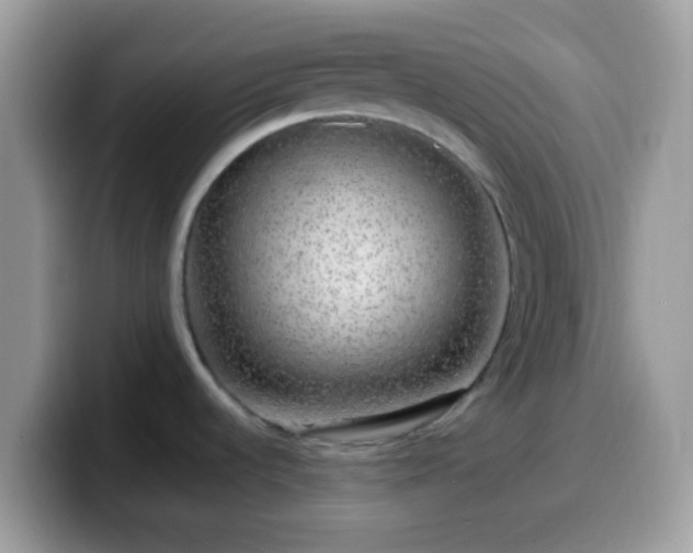 X0000099991536200805301403