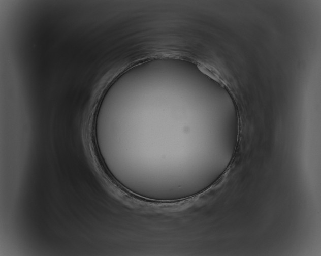 X0000099990001200806061554