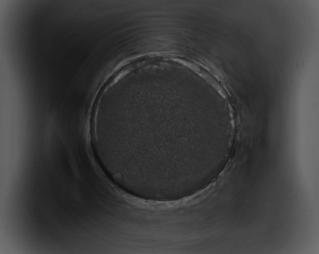 X0000099990002200806061554