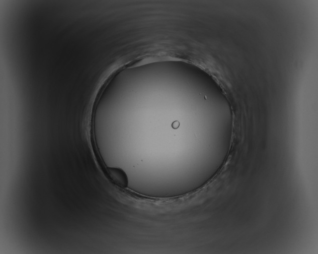 X0000099990003200806061554