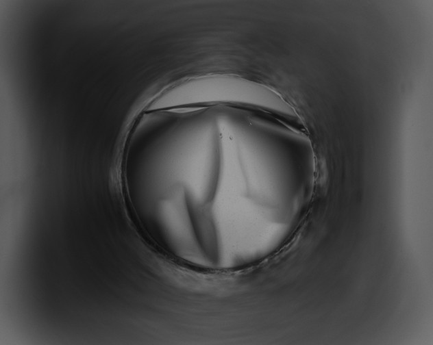 X0000099990004200806061554