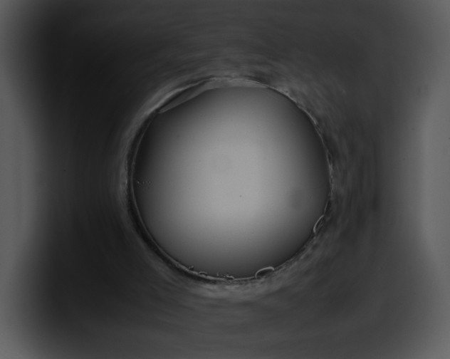 X0000099990005200806061554