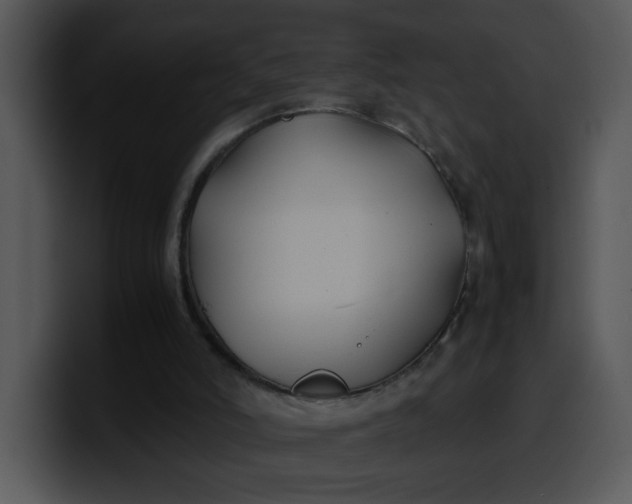 X0000099990006200806061554