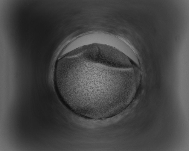 X0000099990007200806061554