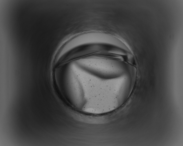 X0000099990008200806061554