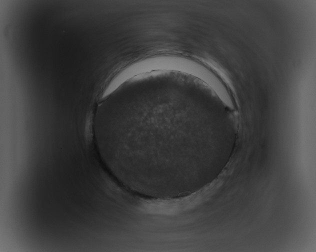 X0000099990009200806061554