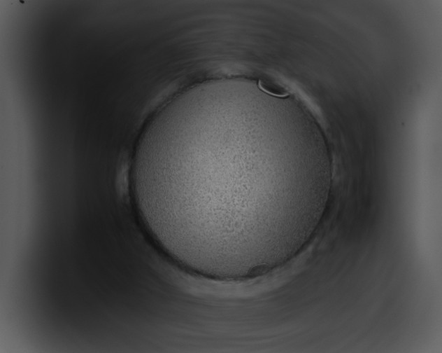 X0000099990010200806061554