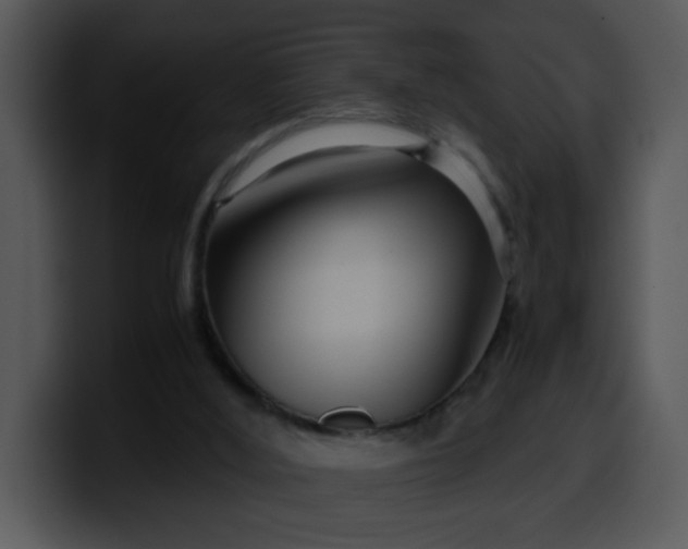 X0000099990012200806061554