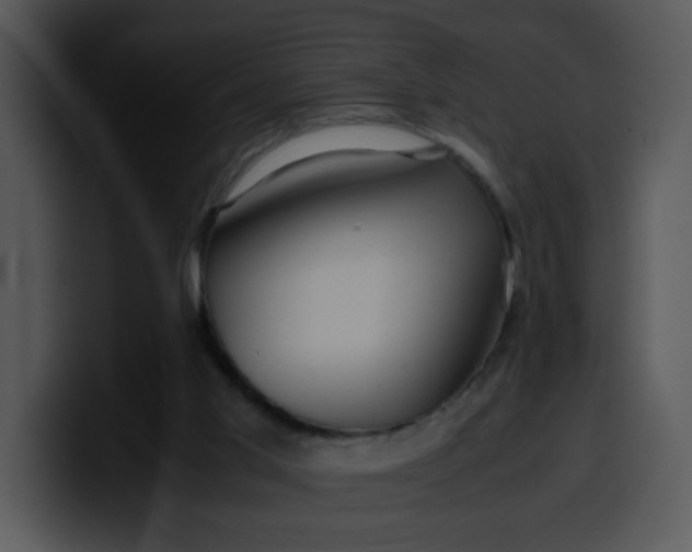 X0000099990013200806061554