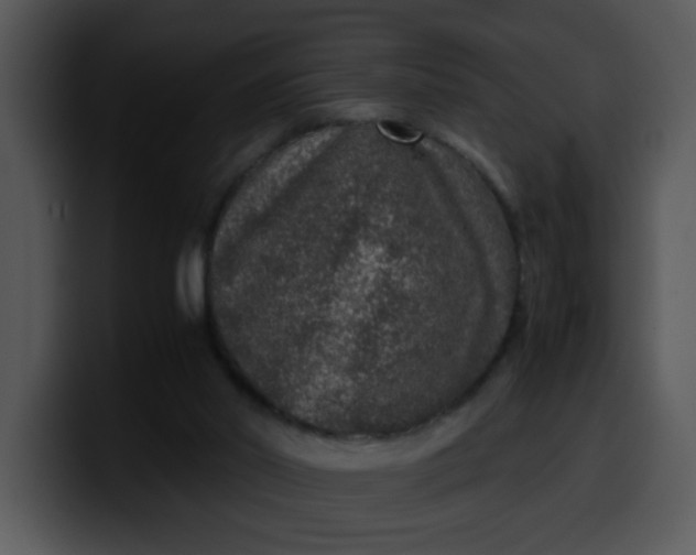 X0000099990014200806061554