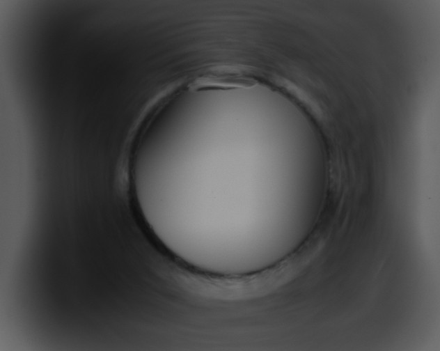 X0000099990015200806061554