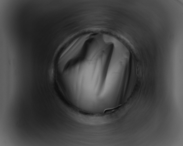 X0000099990016200806061554