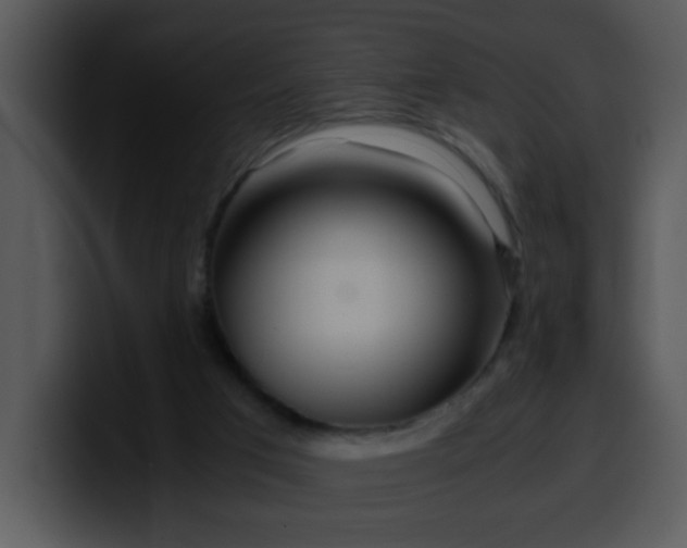 X0000099990017200806061554