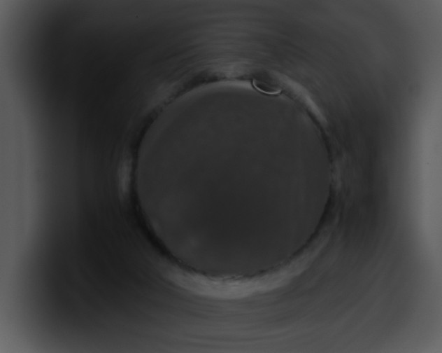 X0000099990018200806061554